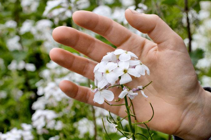 SMELL TURNS UP IN UNEXPECTED PLACES