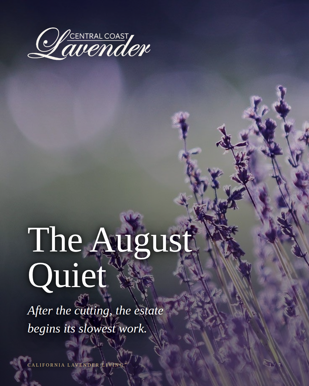 The August Quiet