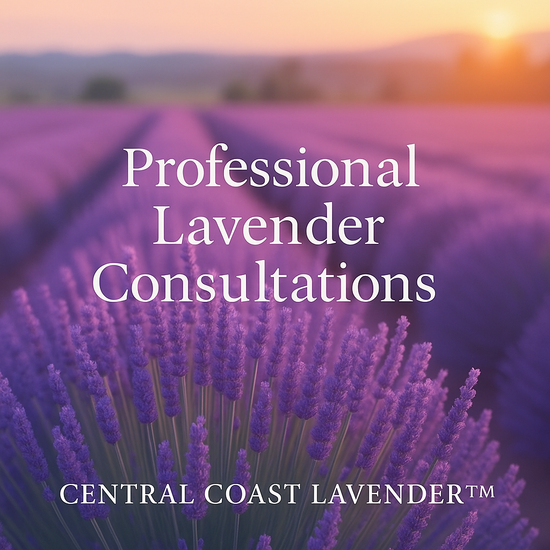 The Secret to Thriving Lavender Farms: Why Expert Consulting Matters