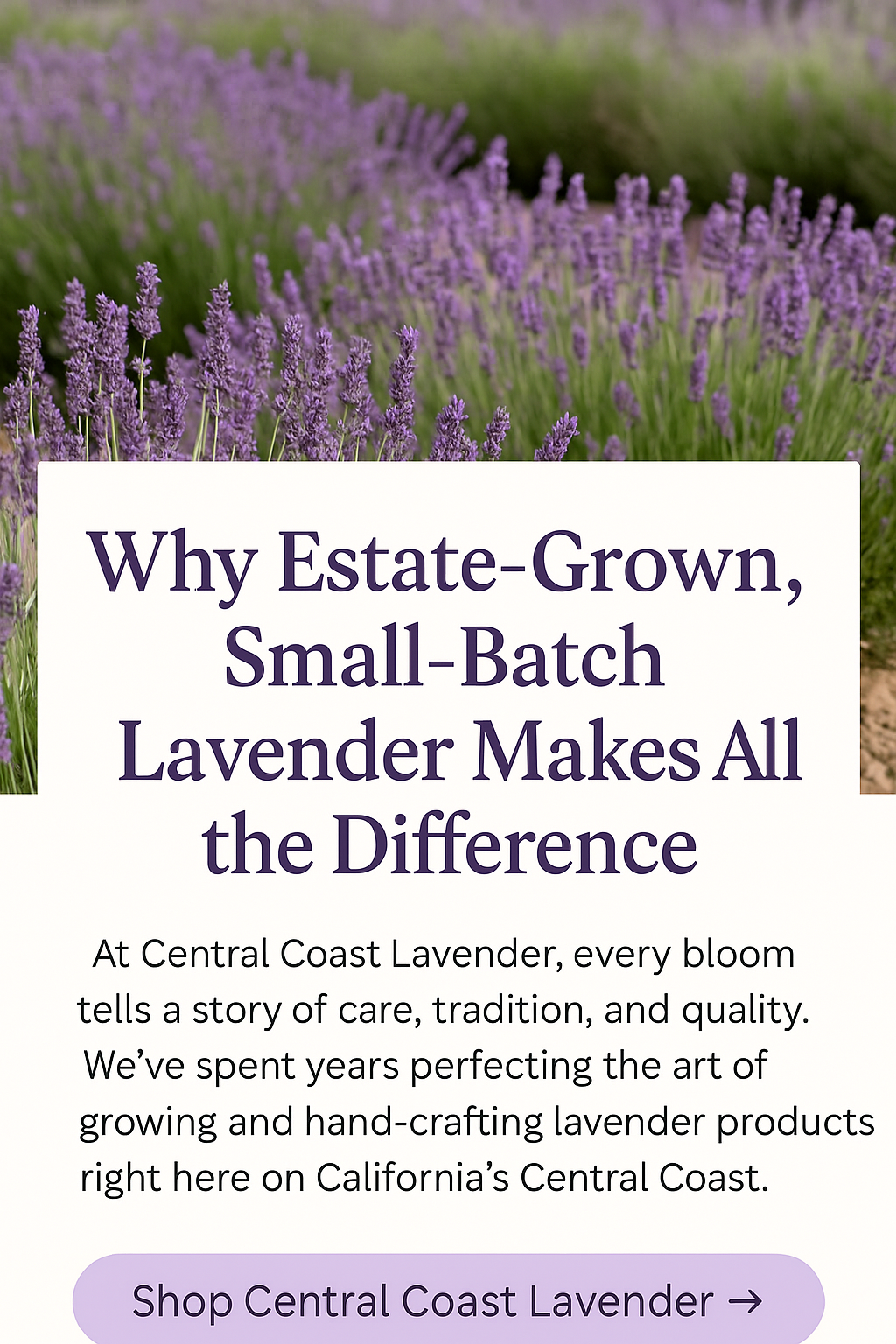 Why Estate‑Grown, Small‑Batch Lavender Makes All the Difference