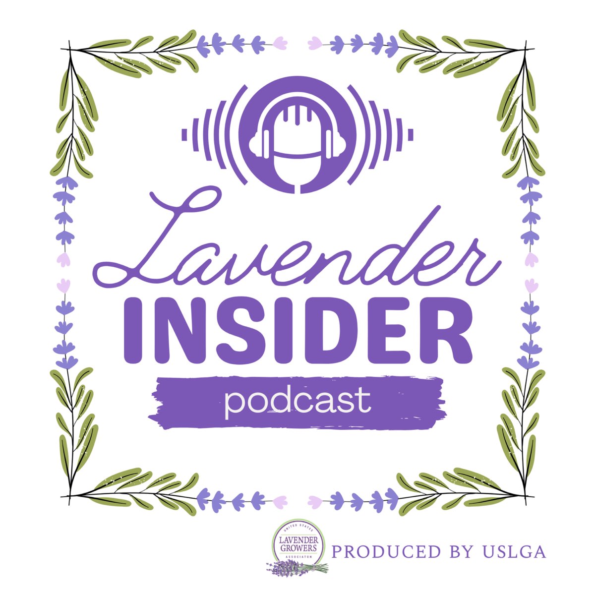 Lavender Insider Podcast, Episode 3: Lavender and Women’s Health.