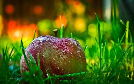 36 FOODS THAT HELP DETOX AND CLEANSE YOUR ENTIRE BODY