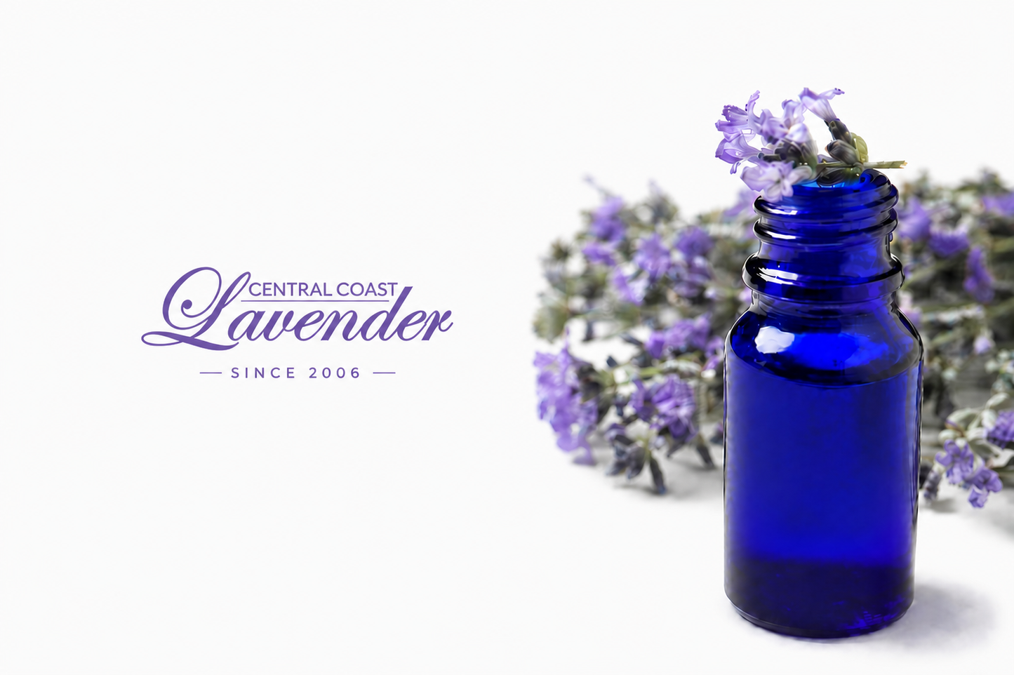 Lavandin Essential Oil