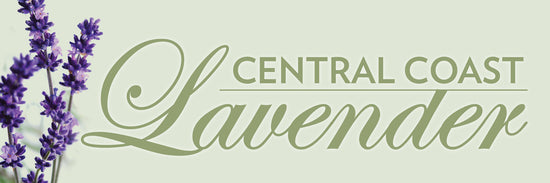 Central Coast Lavender