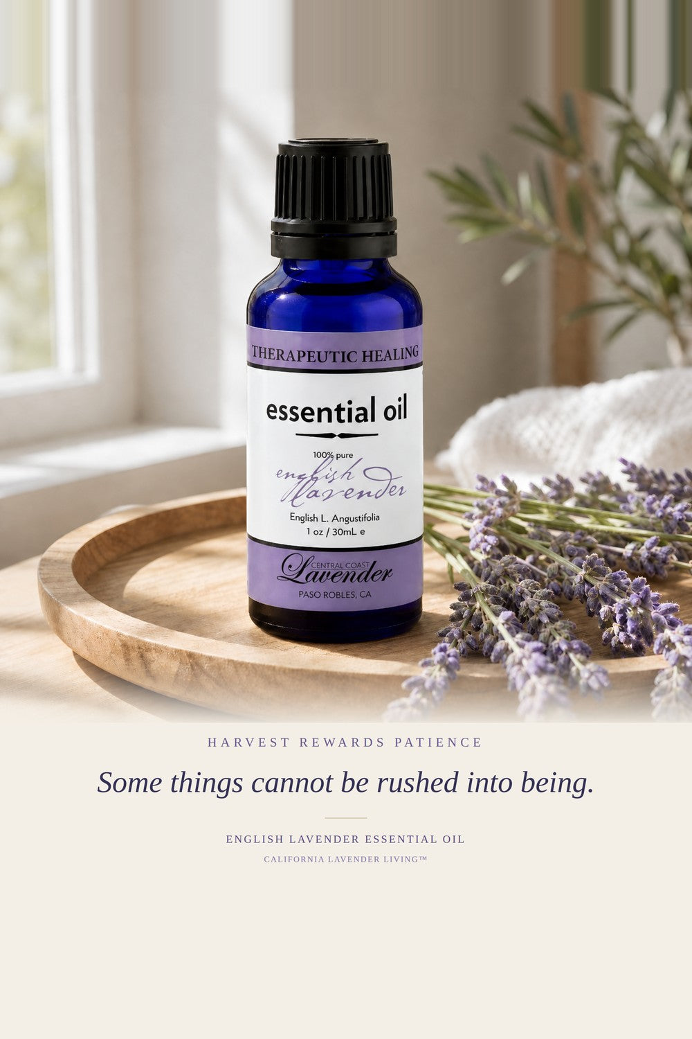 English Lavender essential oil bottle on a wooden tray beside cut lavender, Central Coast Lavender