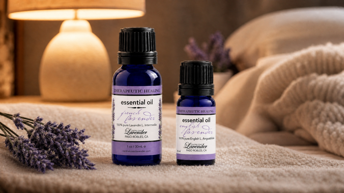 French Lavender Essential Oil