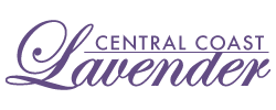 Central Coast Lavender