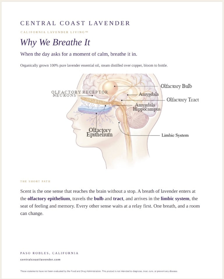 Lavender Aromatherapy Inhaler