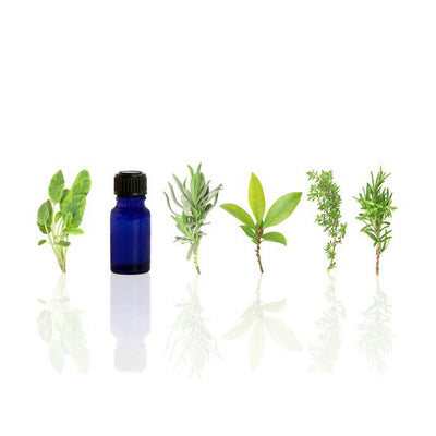 Botanical Essence Collection