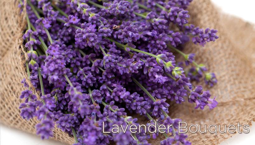 Botanical Essence Collection