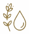 Estate Grown and Steam Distilled